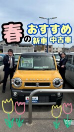 春のおすすめ第一弾　中古車イエローハスラー！